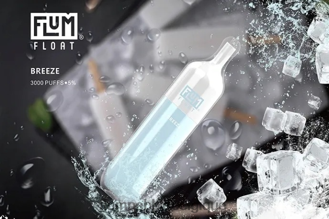 FLUM FLOAT 3000 bouffées Z4DJ8N19 brise FLUM PEBBLE flavors