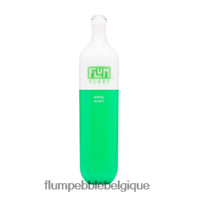 FLUM FLOAT 3000 bouffées Z4DJ8N25 menthe fraîche FLUM PEBBLE vape price