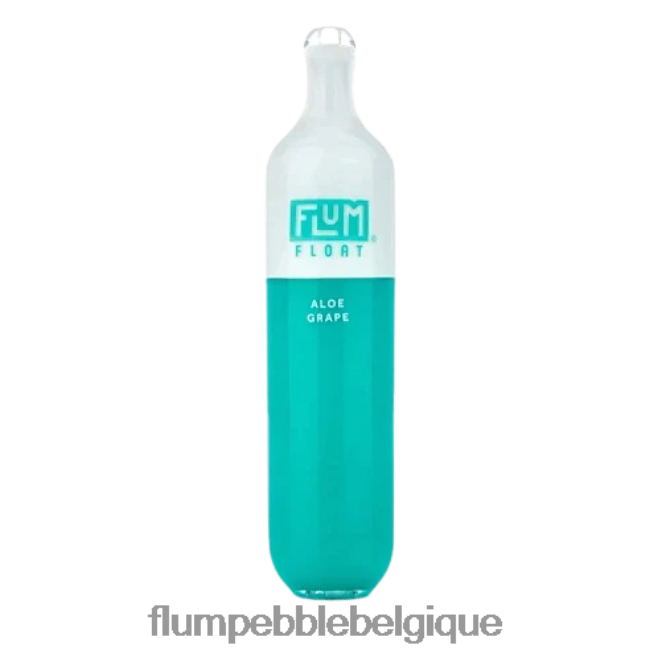 FLUM FLOAT 3000 bouffées Z4DJ8N2 raisin d'aloès FLUM PEBBLE bruxelles
