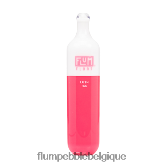 FLUM FLOAT 3000 bouffées Z4DJ8N52 glace luxuriante FLUM PEBBLE bruxelles