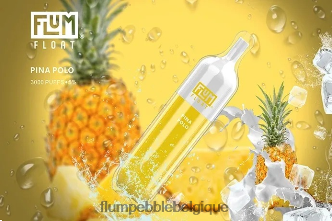 FLUM FLOAT 3000 bouffées Z4DJ8N64 pina-polo FLUM PEBBLE vape flavors