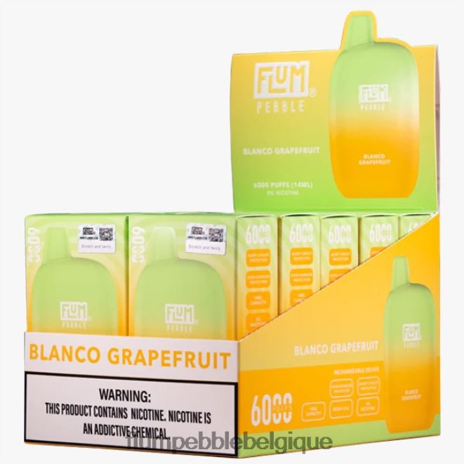 FLUM PEBBLES 6000 bouffées 10 paquets Z4DJ8N11 pamplemousse blanc FLUM PEBBLE belgique