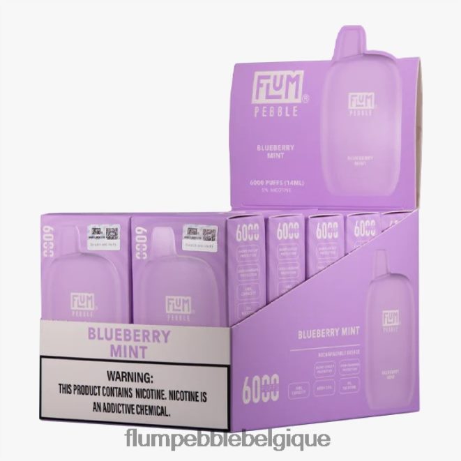 FLUM PEBBLES 6000 bouffées 10 paquets Z4DJ8N18 menthe myrtille FLUM PEBBLE vape website