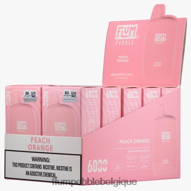 FLUM PEBBLES 6000 bouffées 10 paquets Z4DJ8N63 pêche orange FLUM PEBBLE vape belgique