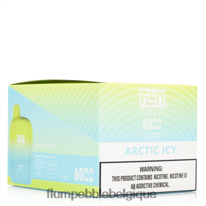 FLUM PEBBLES 6000 bouffées 10 paquets Z4DJ8N6 arctique glacé FLUM PEBBLE vape near me
