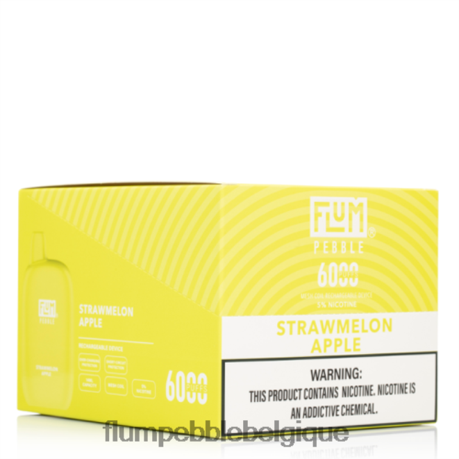FLUM PEBBLES 6000 bouffées 10 paquets Z4DJ8N79 pomme pastèque FLUM PEBBLE flavors
