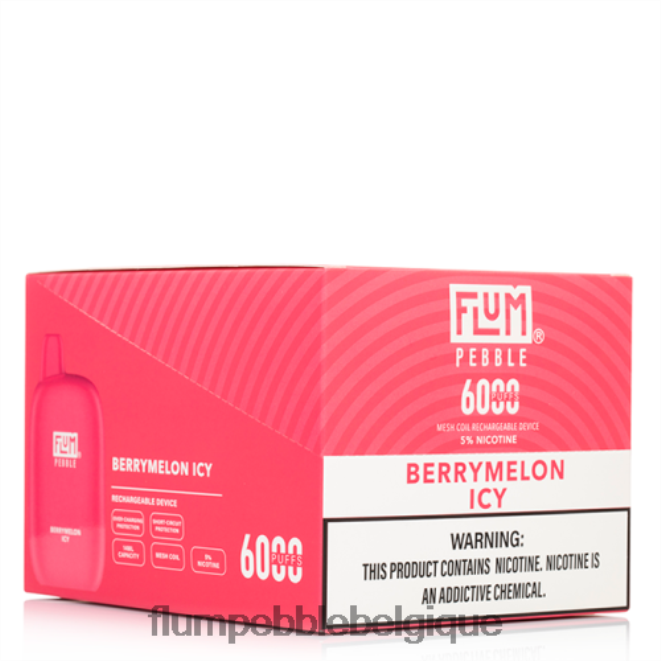 FLUM PEBBLES 6000 bouffées 10 paquets Z4DJ8N8 melon glacé FLUM PEBBLE vape website