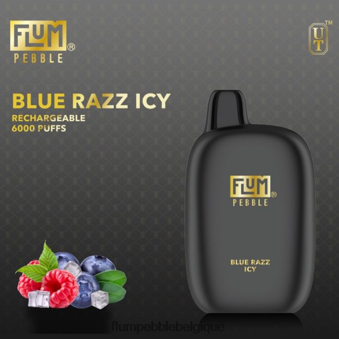 FLUM PEBBLES 6000 bouffées Z4DJ8N14 bleu razz glacé FLUM PEBBLE vape flavors