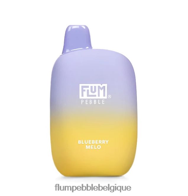 FLUM PEBBLES 6000 bouffées Z4DJ8N16 mélo aux myrtilles FLUM PEBBLE vape near me
