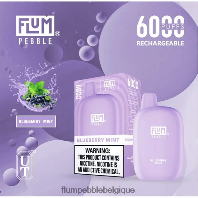FLUM PEBBLES 6000 bouffées Z4DJ8N17 menthe myrtille FLUM PEBBLE vape review