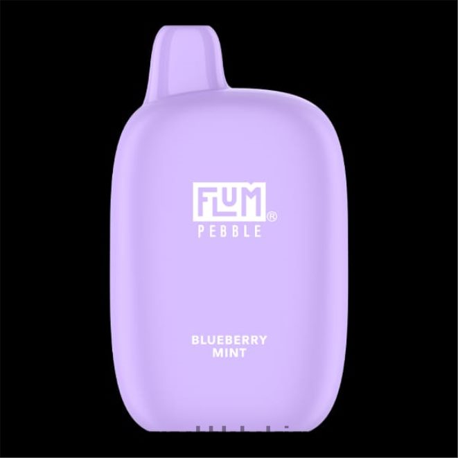 FLUM PEBBLES 6000 bouffées Z4DJ8N17 menthe myrtille FLUM PEBBLE vape review