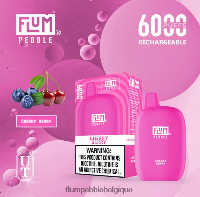 FLUM PEBBLES 6000 bouffées Z4DJ8N20 baie de cerise FLUM PEBBLE vape reddit