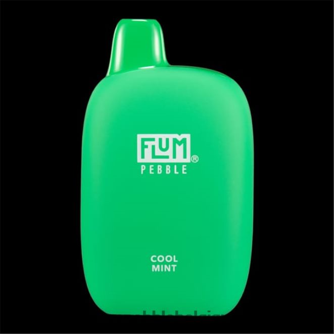FLUM PEBBLES 6000 bouffées Z4DJ8N24 menthe fraîche FLUM PEBBLE vape flavors