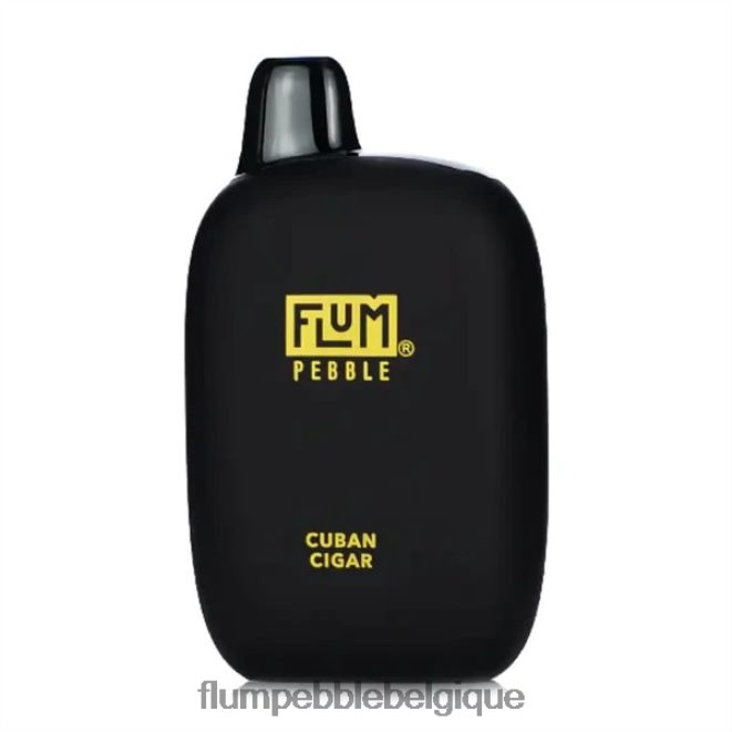 FLUM PEBBLES 6000 bouffées Z4DJ8N29 cigare cubain FLUM PEBBLE flavors