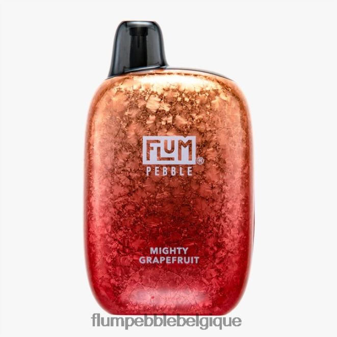 FLUM PEBBLES 6000 bouffées Z4DJ8N38 pamplemousse puissant FLUM PEBBLE vape website