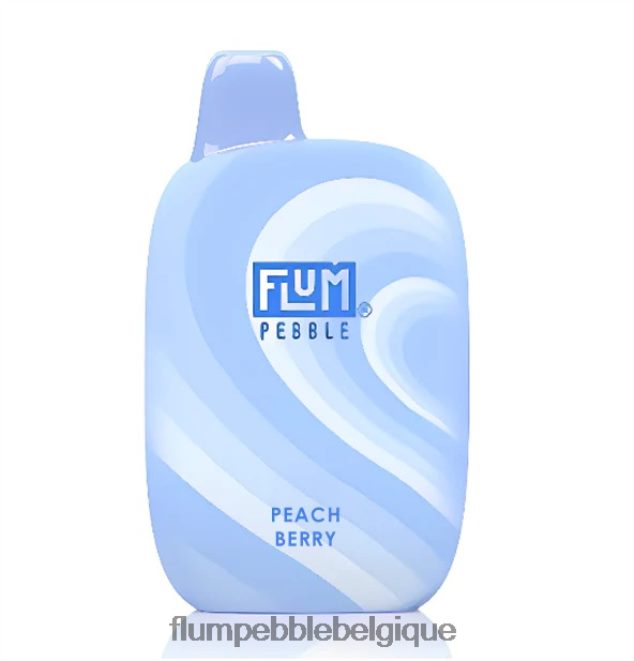 FLUM PEBBLES 6000 bouffées Z4DJ8N39 baie de pêche FLUM PEBBLE flavors