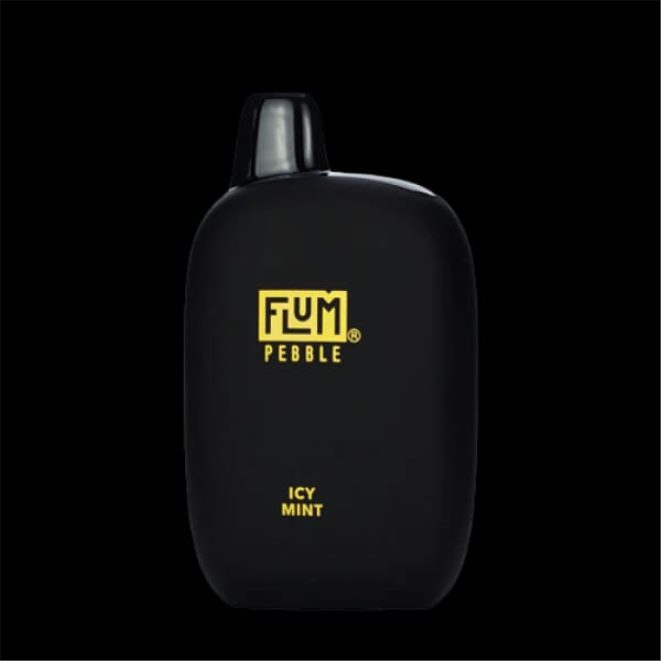 FLUM PEBBLES 6000 bouffées Z4DJ8N49 menthe glacée FLUM PEBBLE flavors