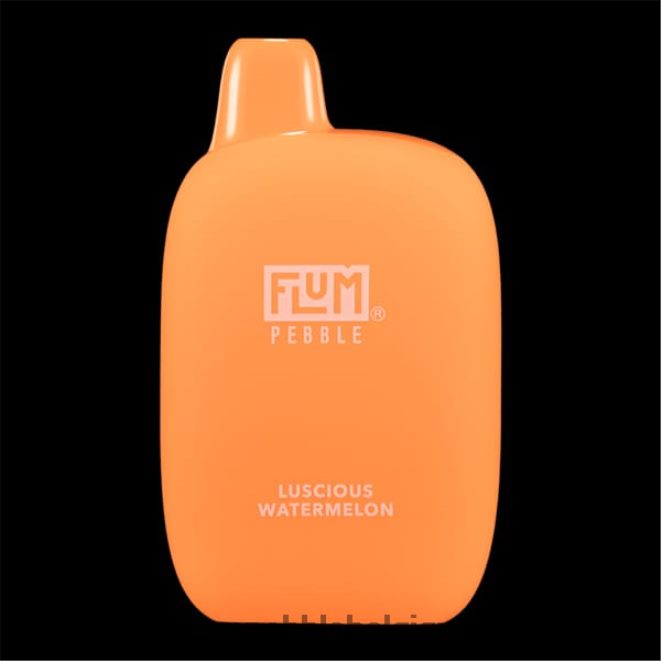 FLUM PEBBLES 6000 bouffées Z4DJ8N50 pastèque succulente FLUM PEBBLE vape reddit
