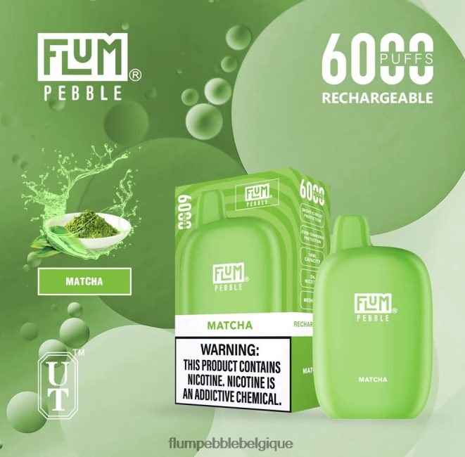 FLUM PEBBLES 6000 bouffées Z4DJ8N54 matcha FLUM PEBBLE vape flavors
