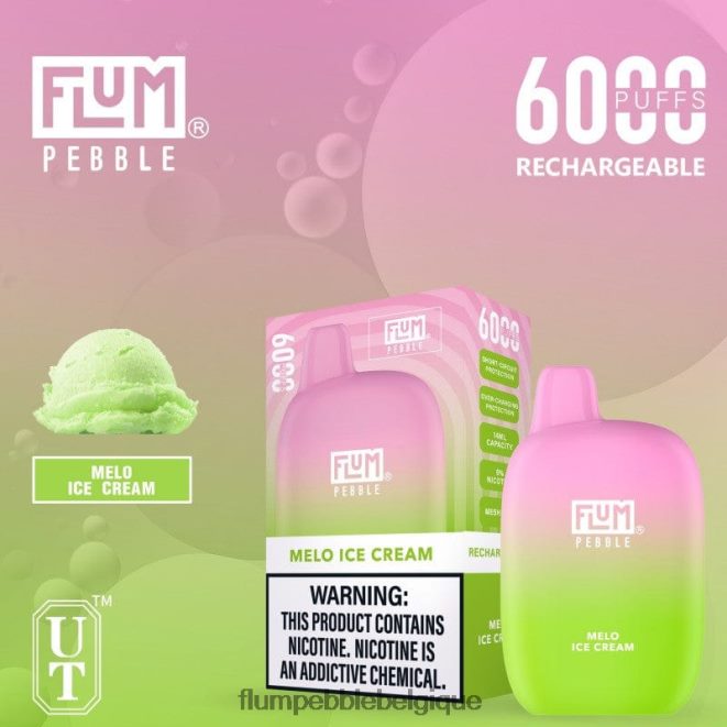 FLUM PEBBLES 6000 bouffées Z4DJ8N55 glace au melo FLUM PEBBLE vape price