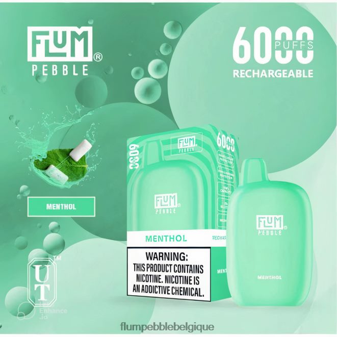 FLUM PEBBLES 6000 bouffées Z4DJ8N57 menthol FLUM PEBBLE vape review
