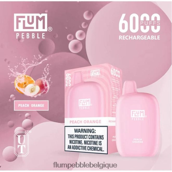 FLUM PEBBLES 6000 bouffées Z4DJ8N60 pêche glacée FLUM PEBBLE vape reddit