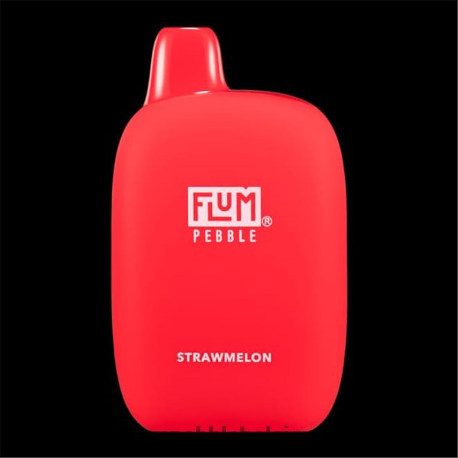 FLUM PEBBLES 6000 bouffées Z4DJ8N76 pastèque FLUM PEBBLE vape near me