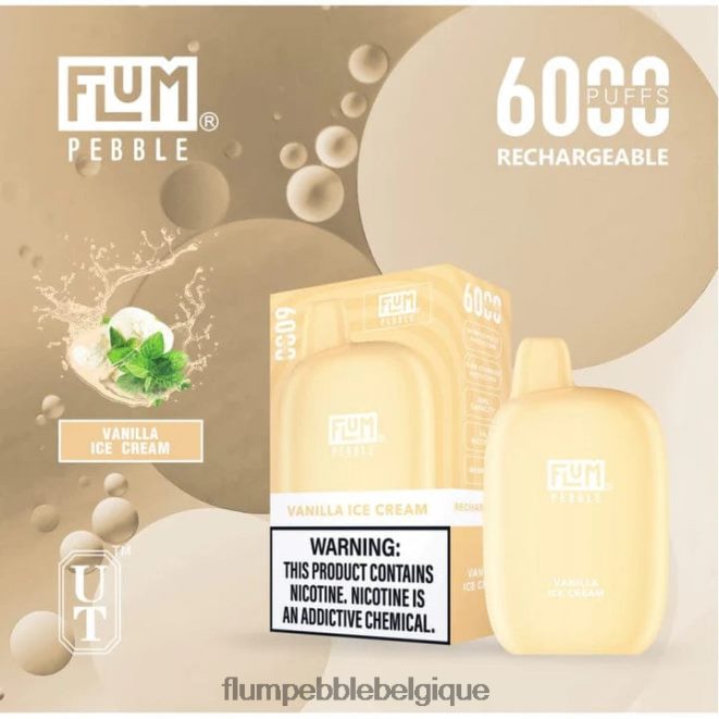 FLUM PEBBLES 6000 bouffées Z4DJ8N84 glace à la vanille FLUM PEBBLE vape flavors